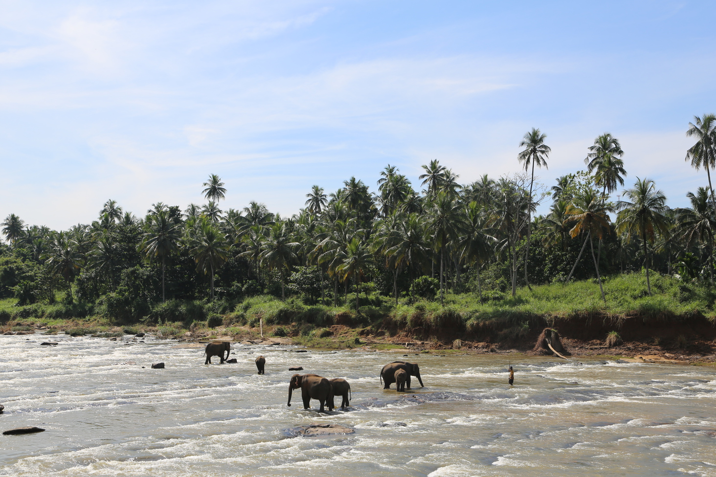 Дмитрий Каднай о Шри-Ланке: все, что вы не прочитаете в путеводителе об острове