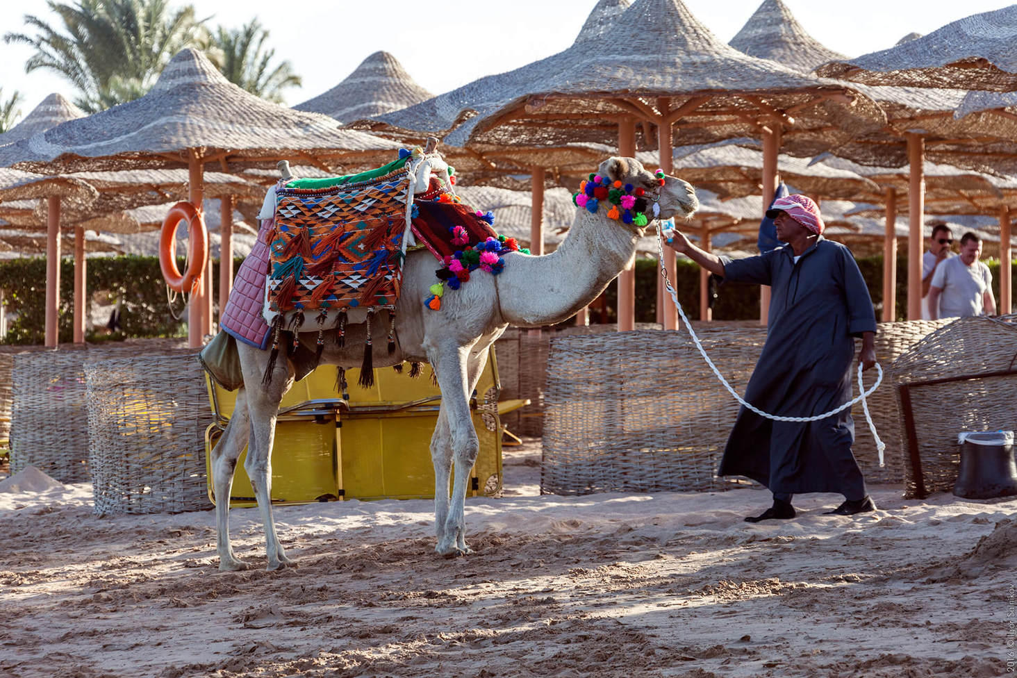 Египет, отель Jaz Makadina