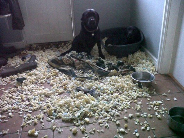 Я немного ПСИХАНУЛ