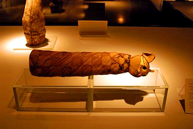 Музеї Єгипту: Музей муміфікації, Луксор