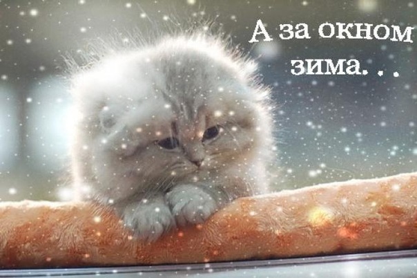 А за окном зима...