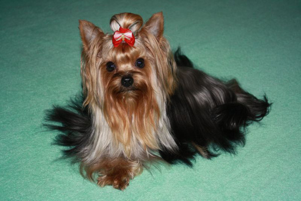 Малыши с бантиками