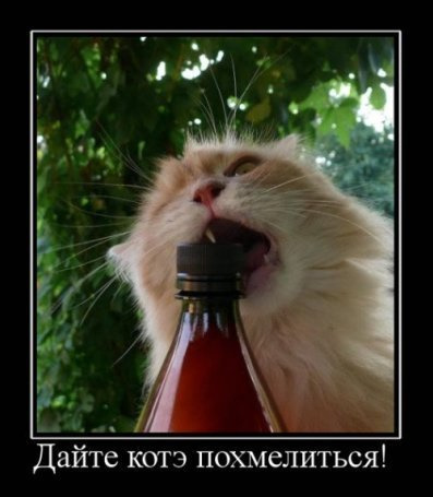 ржака))))))))