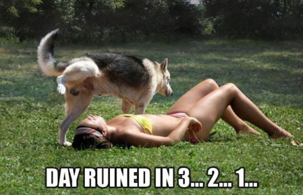 Утро не заладилось