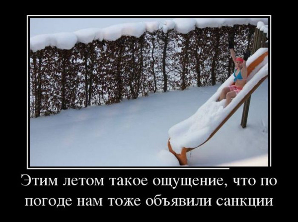ТОП лучших демотиваторов