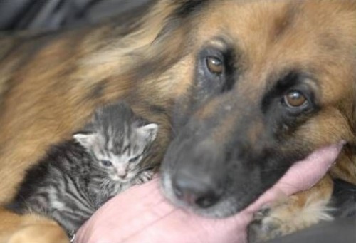 Мы такие разные