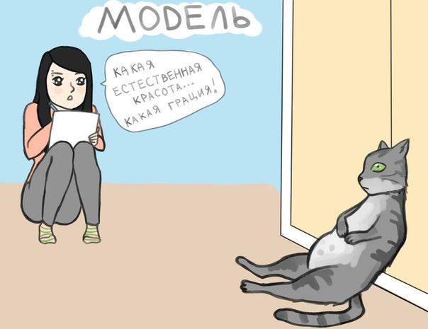 Главный помощник в доме