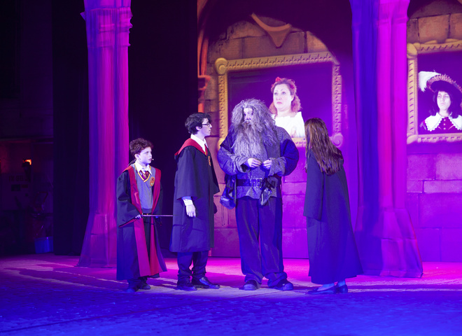 Магія у столиці: селебріті на прем'єрі мюзиклу "Гаррі Поттер і таємниці Хогвартса"