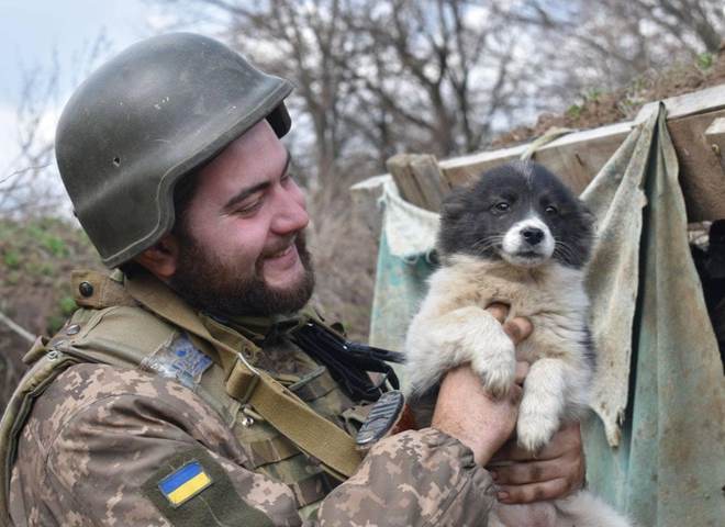 Украинские защитники с животными
