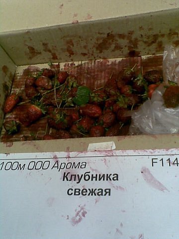 Спасибо кэп