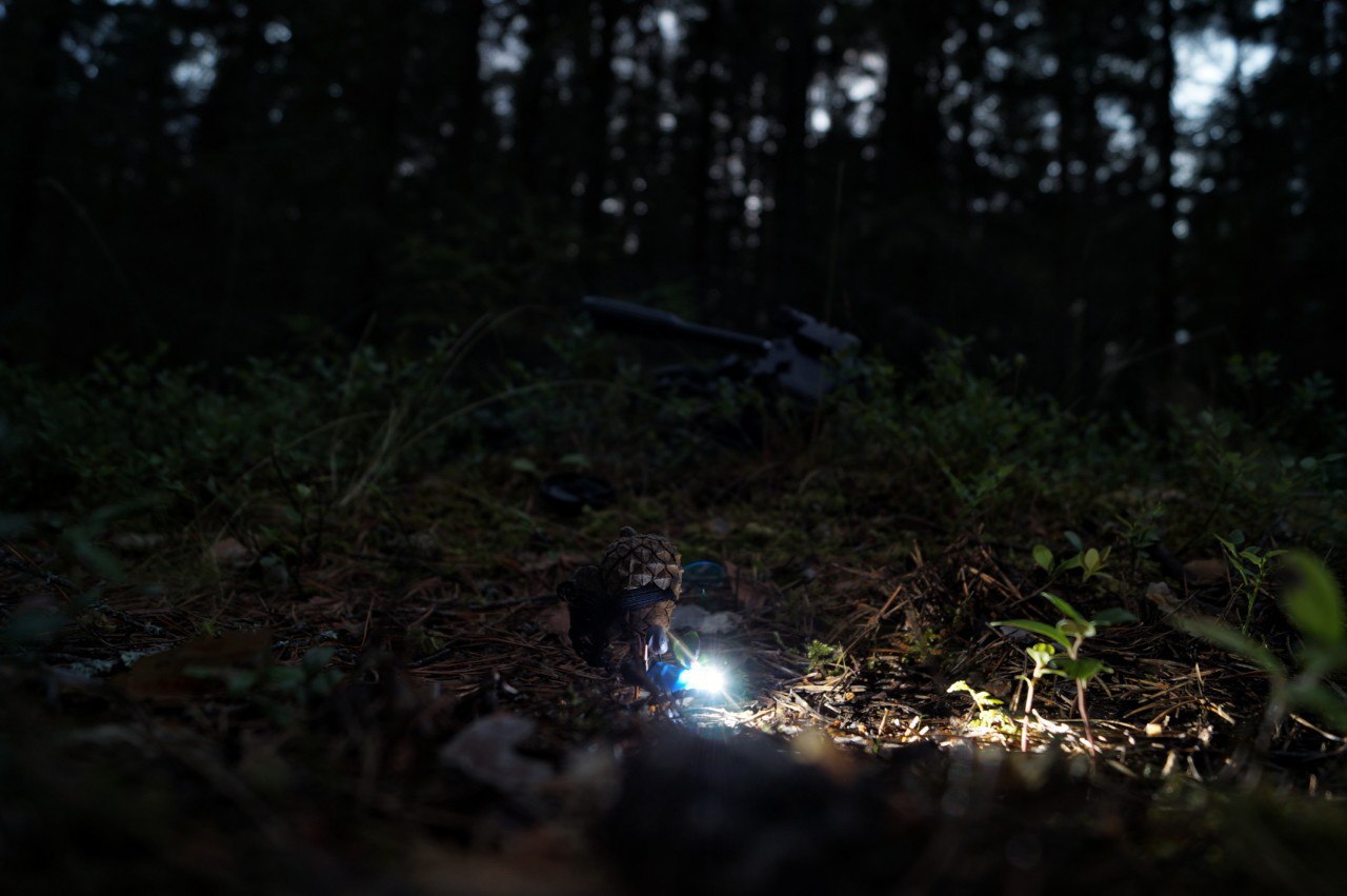 #ПутешествиеСосновойШишки часть 3