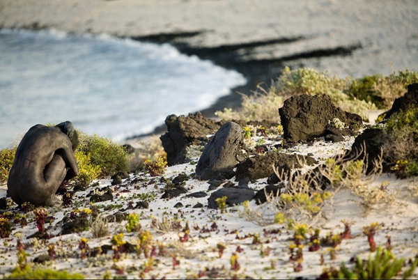 Маскировка 80 уровень