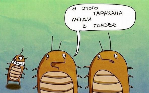 Картинка про таракана)