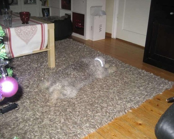 Маскировка 80 лвл