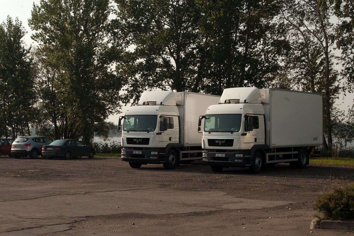 Ризьке золото