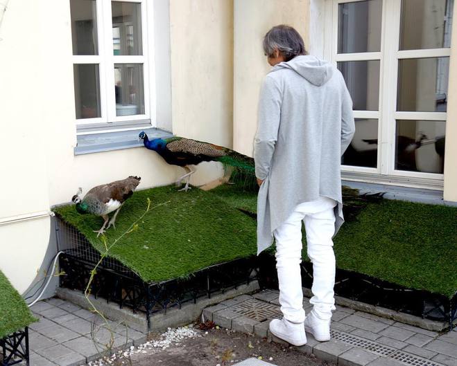 Алла Пугачева в Instagram