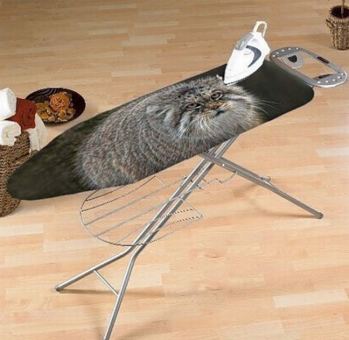 Подборка смешных фотоприколов