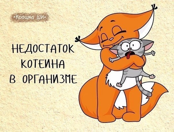 Девичья правда от белки Ши