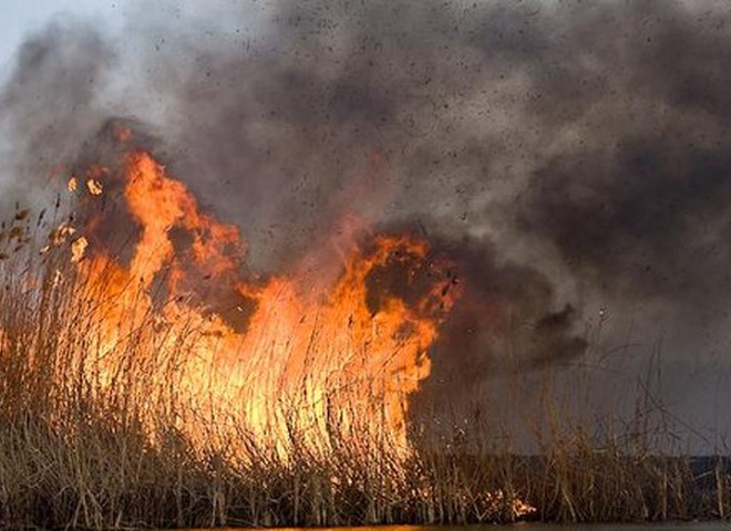 Пожежа в Одесі