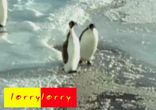 додо