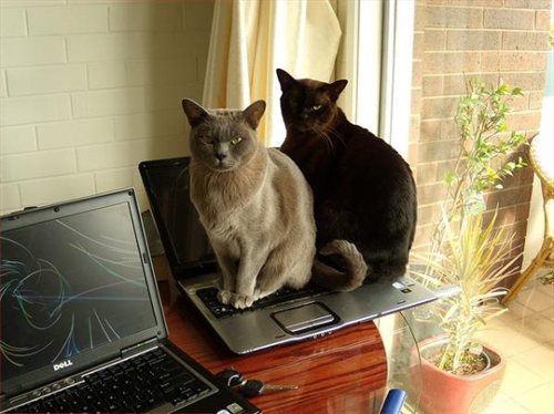 Мы взломаем твою страничку в Контакте