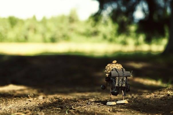 #ПутешествиеСосновойШишки часть 4