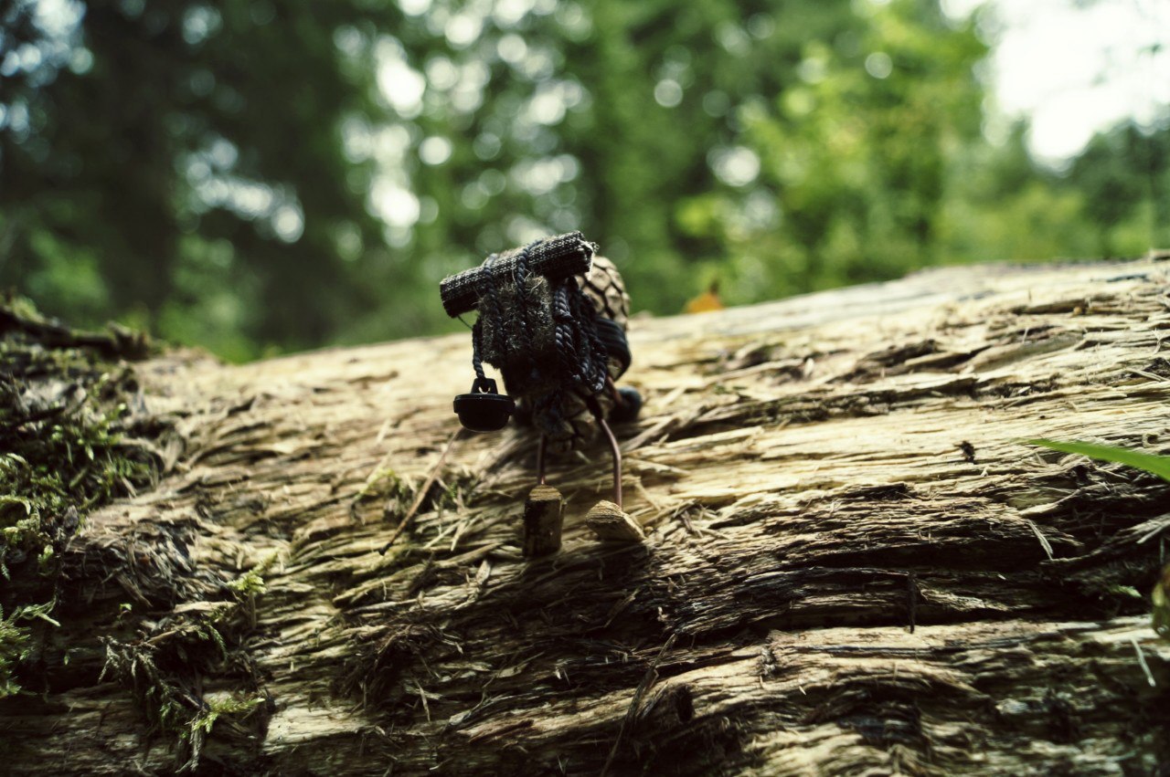 #ПутешествиеСосновойШишки часть 7