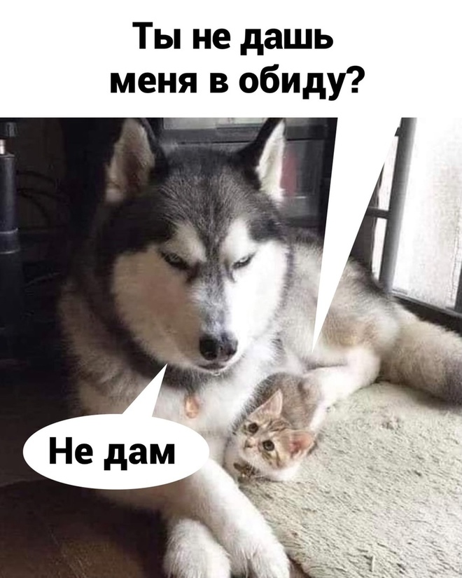 Самый надежный