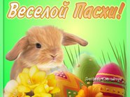 Прикольні листівки на Великдень