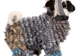 мопси Missoni