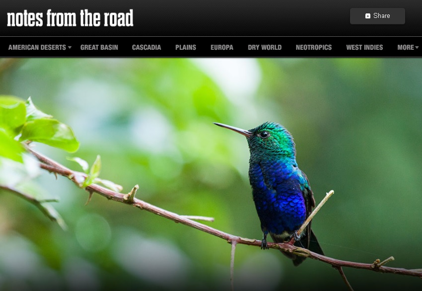 Найкращі тревел-блоги: Notes from the Road