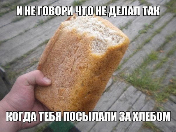 Любимая корма хлеба
