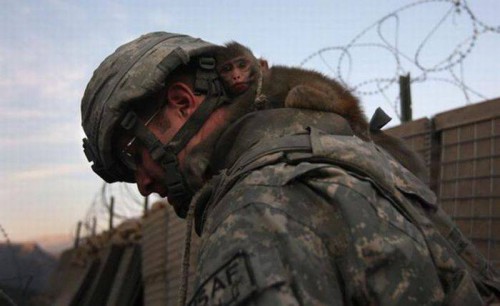 Военные развлечения