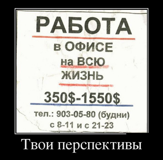 ТОП лучших демотиваторов