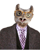 fashion animals fashion animals