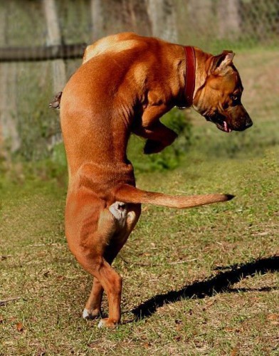 Смешные фотоприколы