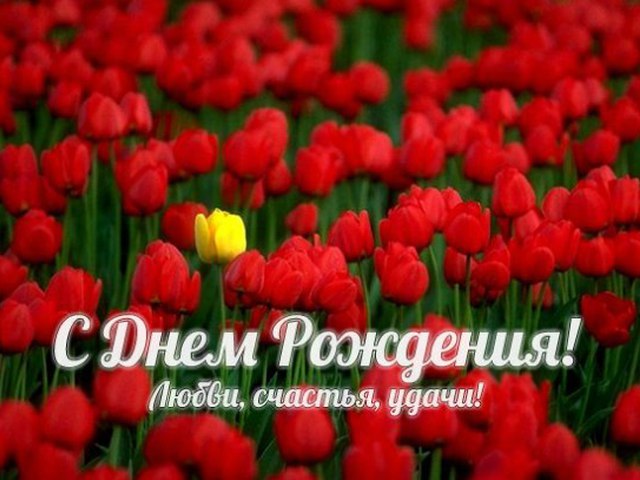 Открытки с днем рождения марьяна фото, картинка лама