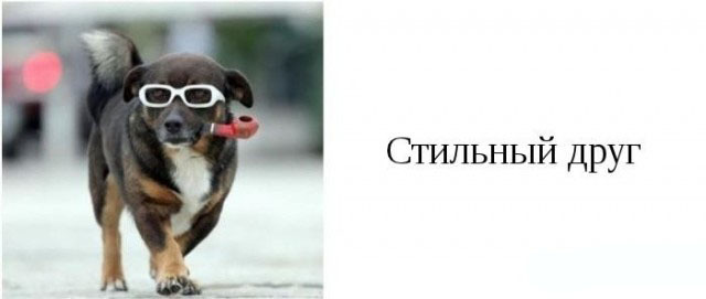 Категории друзей
