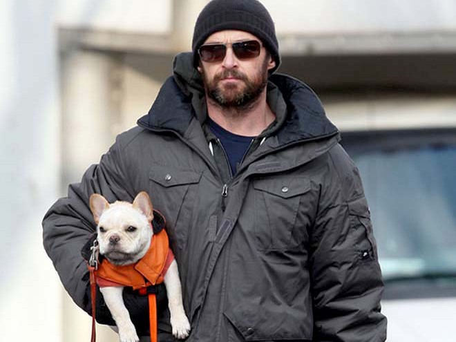 Хью Джекман