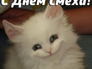 Листівки з 1 квітня смішні