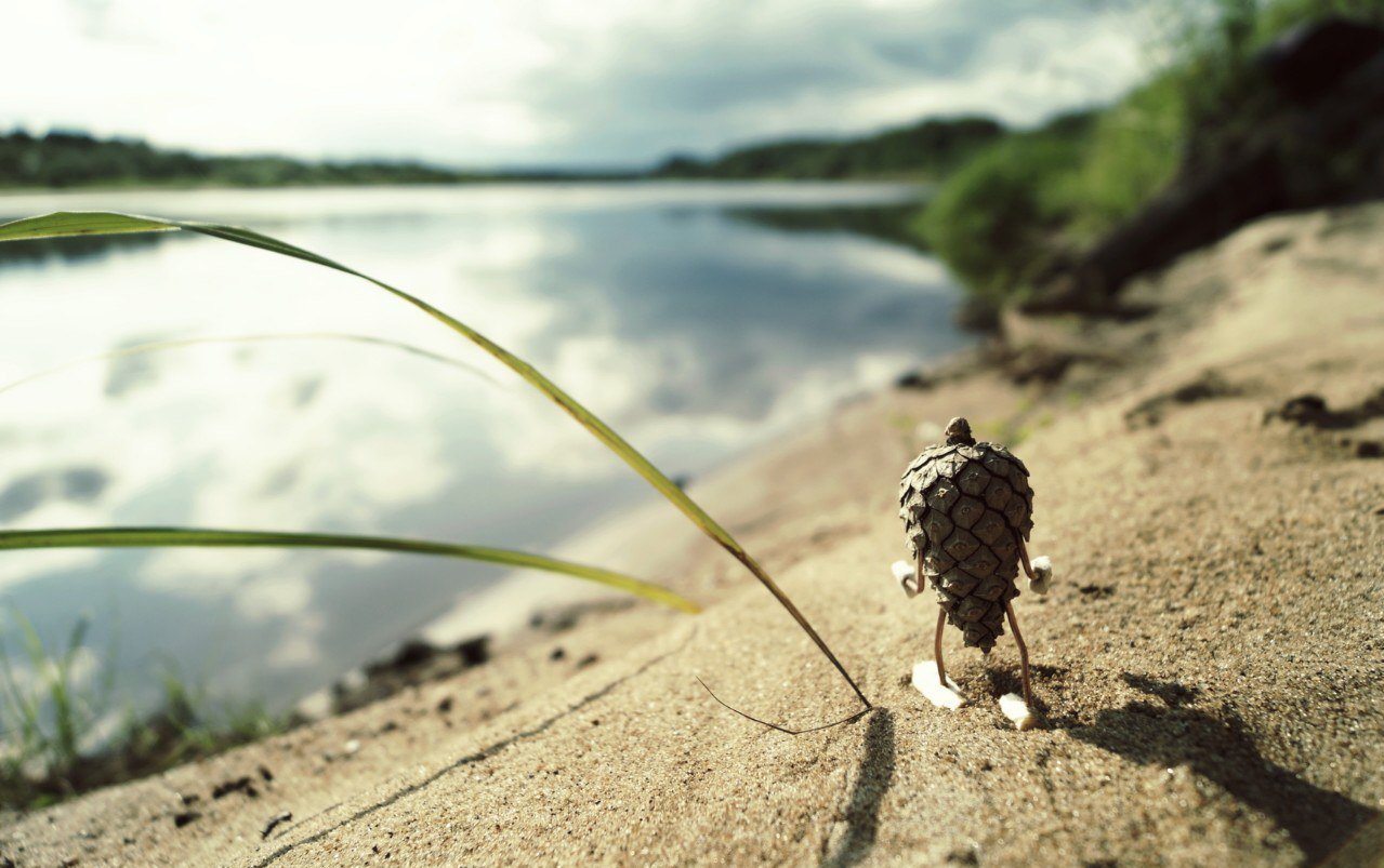 #ПутешествиеСосновойШишки часть 2