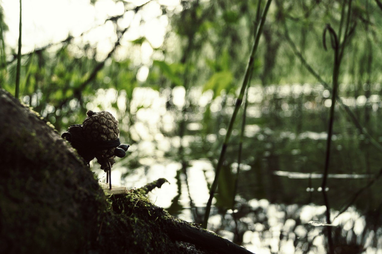 #ПутешествиеСосновойШишки часть 7