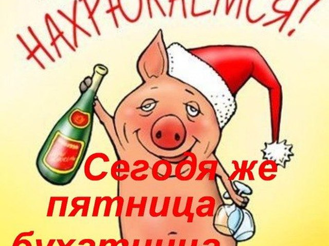Смешные картинки с надписями бухать будем когда дождаться пятница, цветов анимации