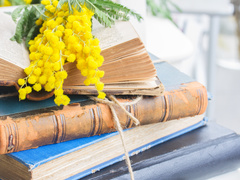 Что почитать в марте: твой must-read на месяц