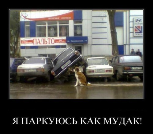 Смешные демотиваторы