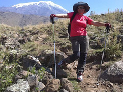 Сичкарь на Арарате