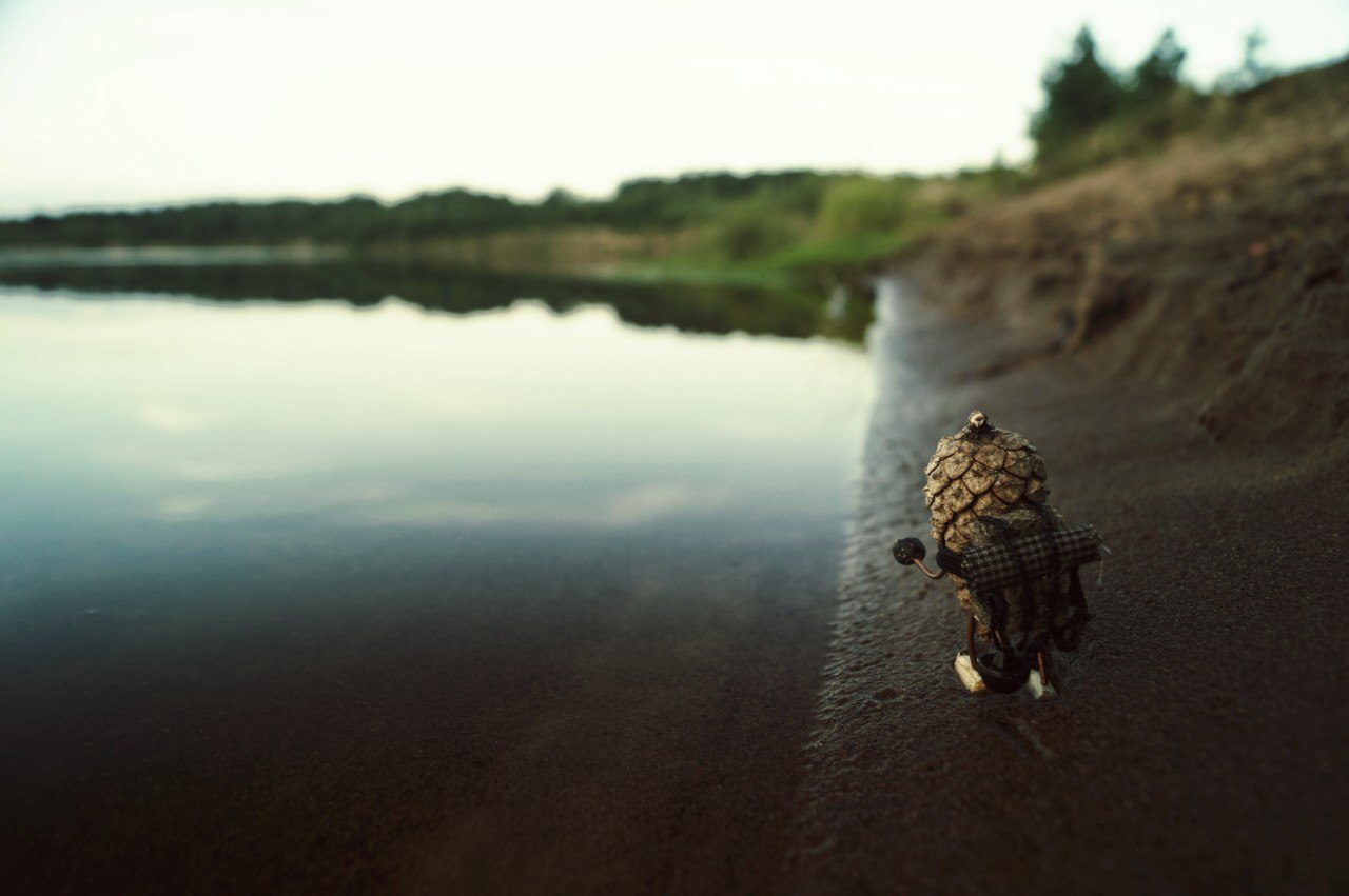 #ПутешествиеСосновойШишки часть 8