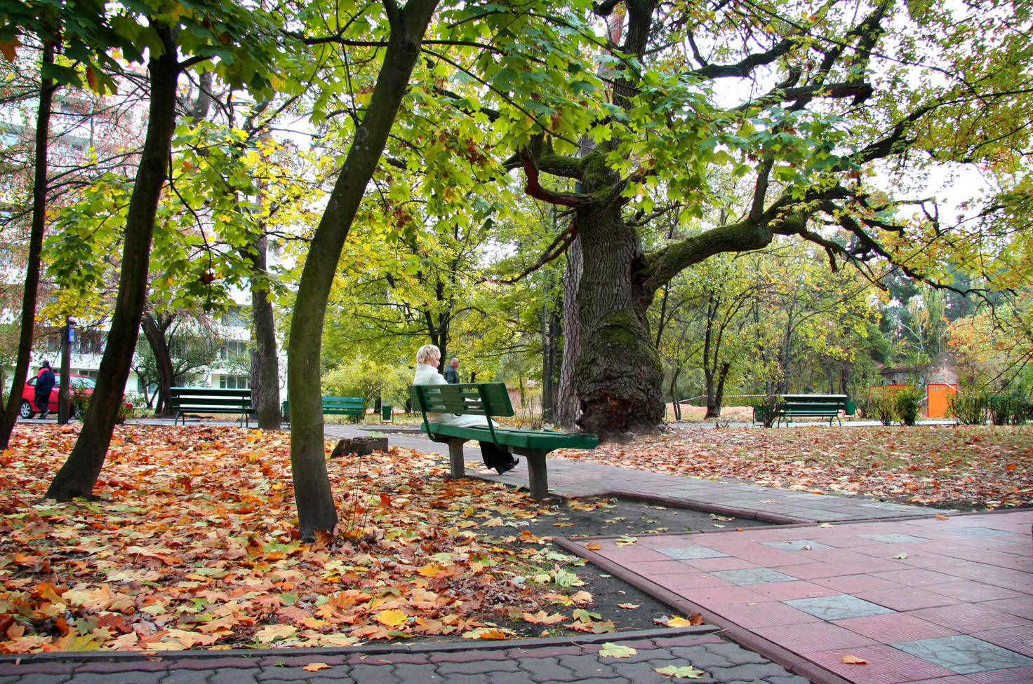 Санаторий Жовтень