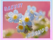Пахне весною