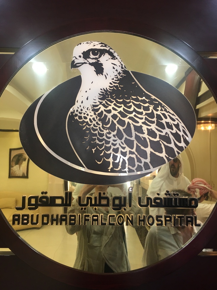 Соколиный госпиталь в Абу Даби